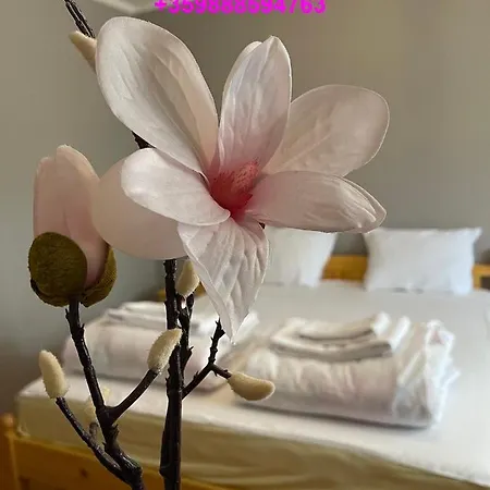 아파트 2 Bedroom City